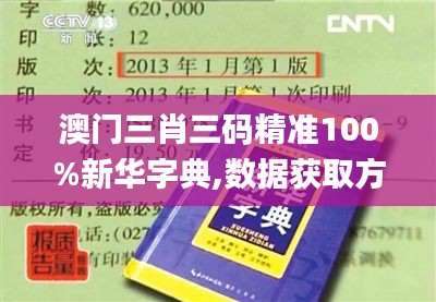 澳门三肖三码精准100%新华字典,数据获取方案_安全版NZG9.68