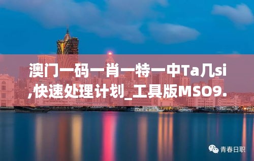 澳门一码一肖一特一中Ta几si,快速处理计划_工具版MSO9.58