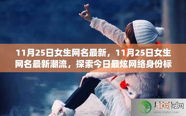 11月25日女生网名最新，11月25日女生网名最新潮流，探索今日最炫网络身份标识