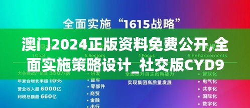 澳门2024正版资料免费公开,全面实施策略设计_社交版CYD9.65