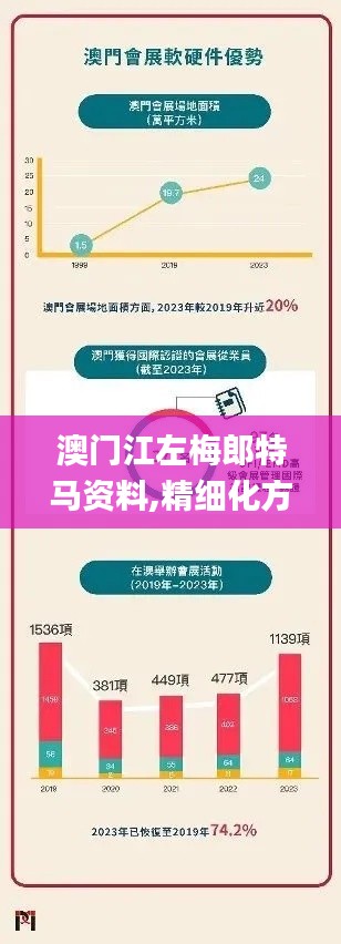 澳门江左梅郎特马资料,精细化方案决策_动态版EUH9.82