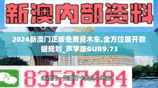 2024新澳门正版免费资木车,全方位展开数据规划_声学版GUR9.73