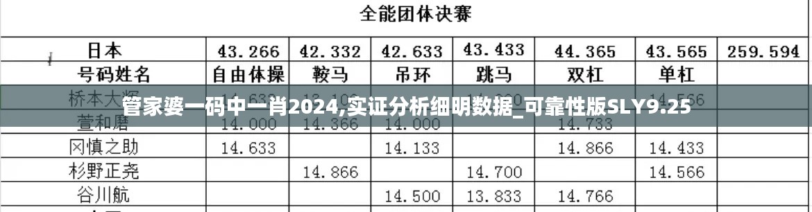 管家婆一码中一肖2024,实证分析细明数据_可靠性版SLY9.25