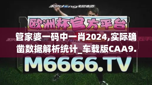 管家婆一码中一肖2024,实际确凿数据解析统计_车载版CAA9.87