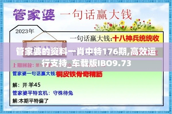 管家婆的资料一肖中特176期,高效运行支持_车载版IBO9.73