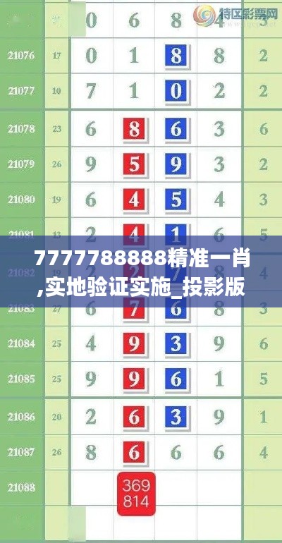 7777788888精准一肖,实地验证实施_投影版CST9.96