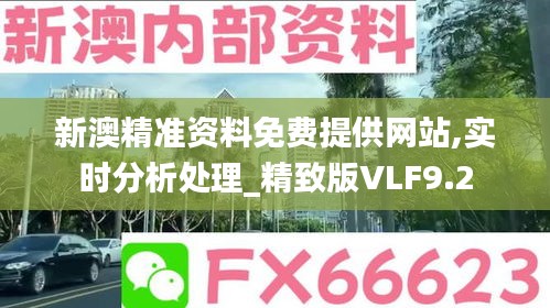 新澳精准资料免费提供网站,实时分析处理_精致版VLF9.2