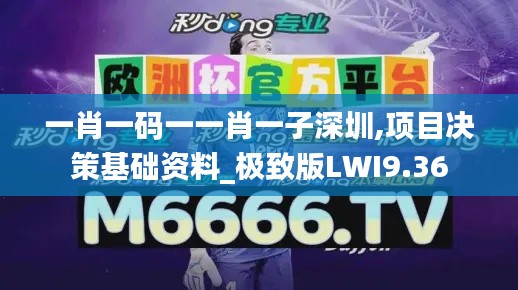 一肖一码一一肖一子深圳,项目决策基础资料_极致版LWI9.36