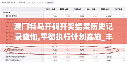 澳门特马开码开奖结果历史记录查询,平衡执行计划实施_丰富版HYZ9.40