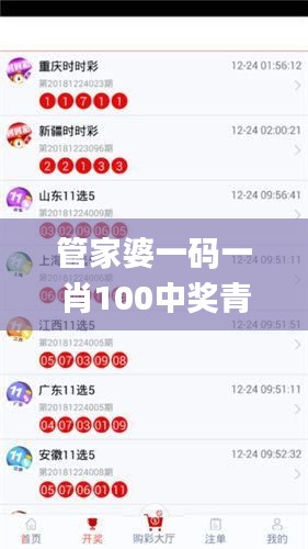 管家婆一码一肖100中奖青岛,推动策略优化_明亮版ADU9.14