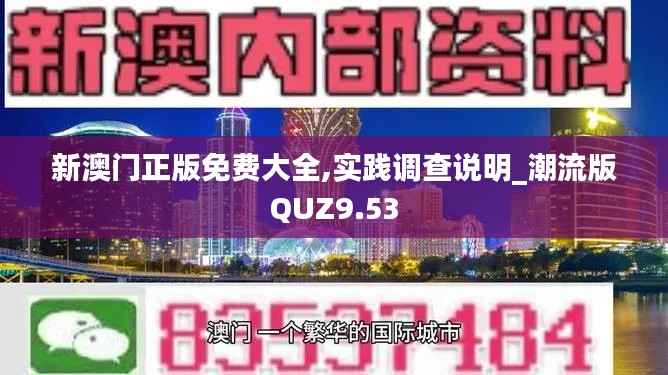 新澳门正版免费大全,实践调查说明_潮流版QUZ9.53