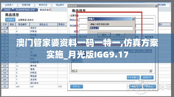 澳门管家婆资料一码一特一,仿真方案实施_月光版IGG9.17