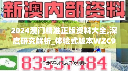 2024澳门精准正版资料大全,深度研究解析_体验式版本WZC9.92