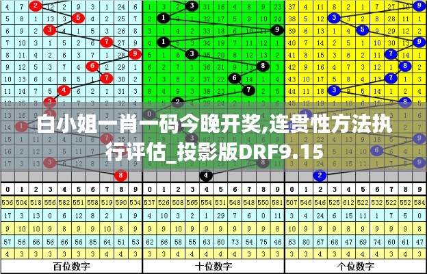 白小姐一肖一码今晚开奖,连贯性方法执行评估_投影版DRF9.15