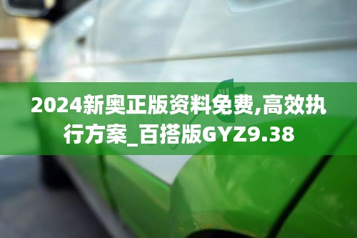 2024新奥正版资料免费,高效执行方案_百搭版GYZ9.38