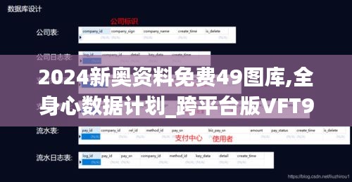 2024新奥资料免费49图库,全身心数据计划_跨平台版VFT9.63