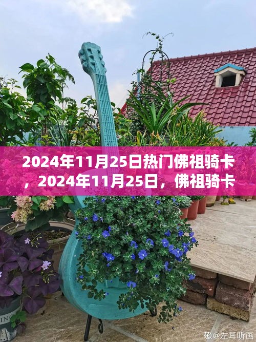 佛祖骑卡热潮涌动，揭秘2024年11月25日的神秘趋势