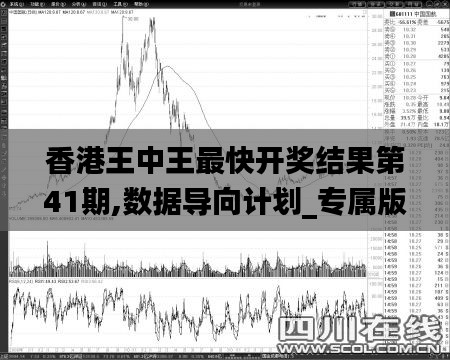 香港王中王最快开奖结果第41期,数据导向计划_专属版HBD9.40