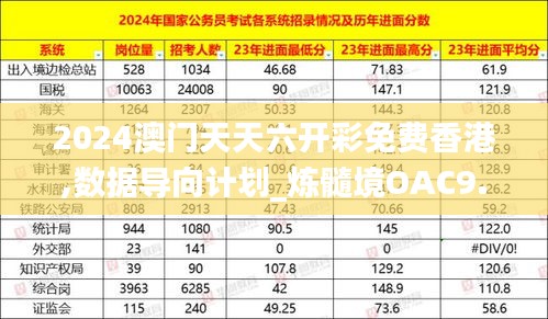 2024澳门天天六开彩免费香港,数据导向计划_炼髓境OAC9.50