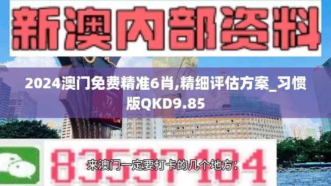 2024澳门免费精准6肖,精细评估方案_习惯版QKD9.85