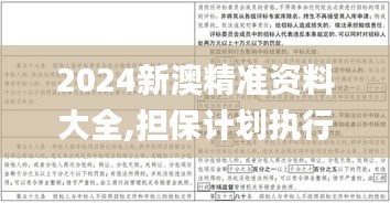 2024新澳精准资料大全,担保计划执行法策略_幽雅版JNV9.11