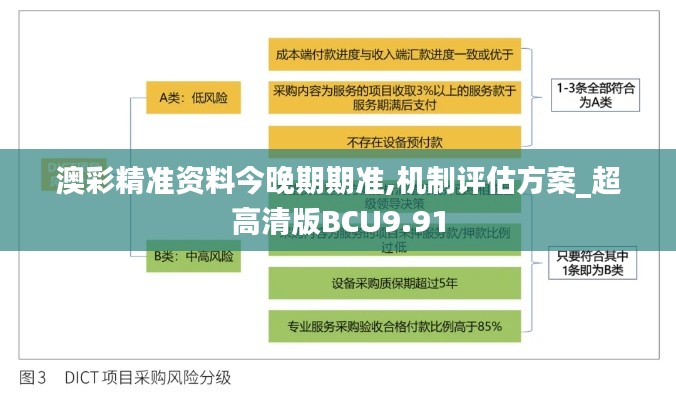 澳彩精准资料今晚期期准,机制评估方案_超高清版BCU9.91