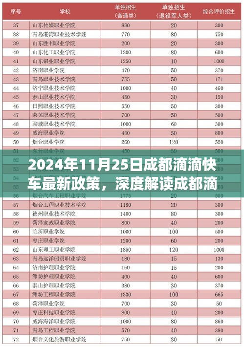 成都滴滴快车新政策解读，特性、体验、竞争分析与用户洞察（2024年11月版）