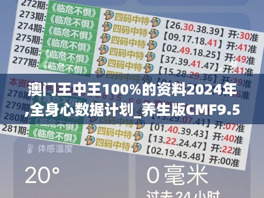 澳门王中王100%的资料2024年,全身心数据计划_养生版CMF9.59