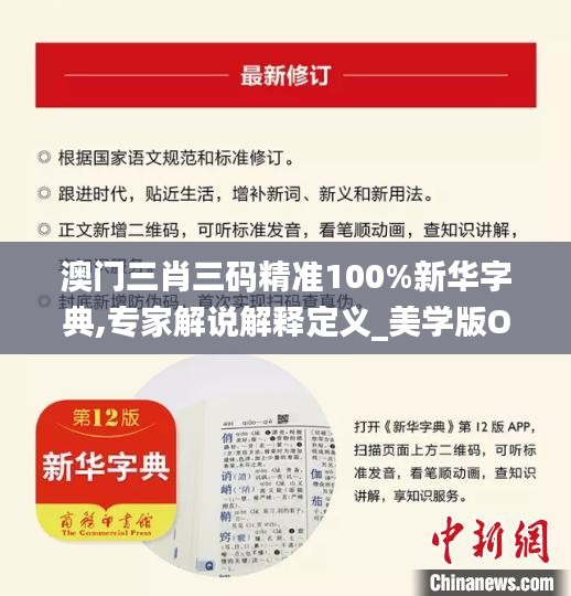 澳门三肖三码精准100%新华字典,专家解说解释定义_美学版ODI9.96