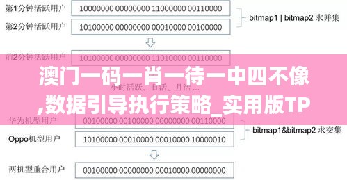 澳门一码一肖一待一中四不像,数据引导执行策略_实用版TPO9.43