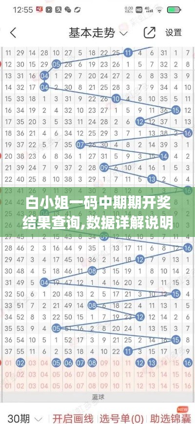 白小姐一码中期期开奖结果查询,数据详解说明_远光版RPO9.31