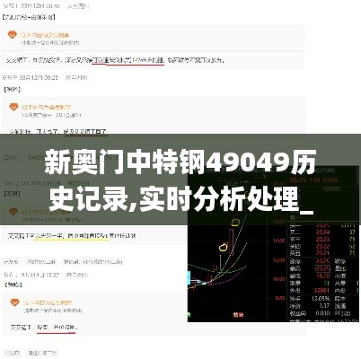 新奥门中特钢49049历史记录,实时分析处理_职业版GVP9.9