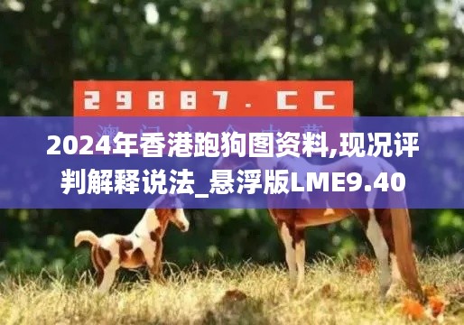 2024年香港跑狗图资料,现况评判解释说法_悬浮版LME9.40