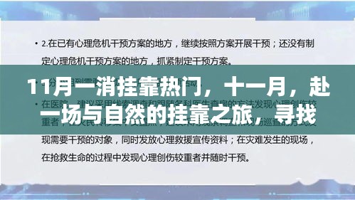 十一月赴自然挂靠之旅，心灵的静谧港湾受热捧