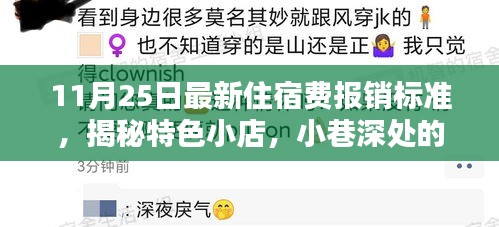 揭秘特色住宿新篇章，揭秘特色小店，小巷深处的住宿揭秘与最新住宿费报销标准解读