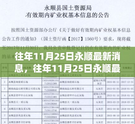 关于往年11月25日永顺的最新消息深度解析与个人观点阐述