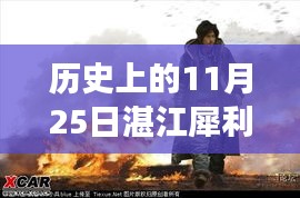 湛江犀利哥现象，深度解读与观点阐述 —— 历史上的11月25日回顾与反思