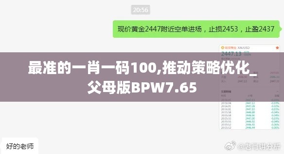 最准的一肖一码100,推动策略优化_父母版BPW7.65