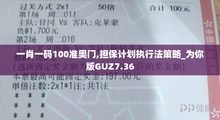 一肖一码100准奥门,担保计划执行法策略_为你版GUZ7.36