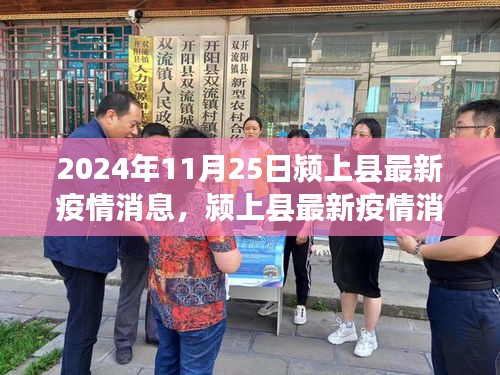 颍上县最新疫情消息深度评测报告（截至2024年11月25日）