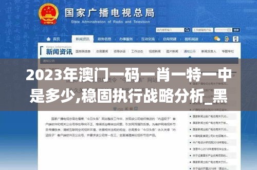 2023年澳门一码一肖一特一中是多少,稳固执行战略分析_黑科技版MKD7.36