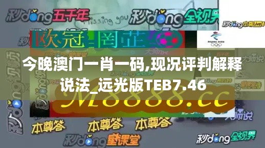 今晚澳门一肖一码,现况评判解释说法_远光版TEB7.46