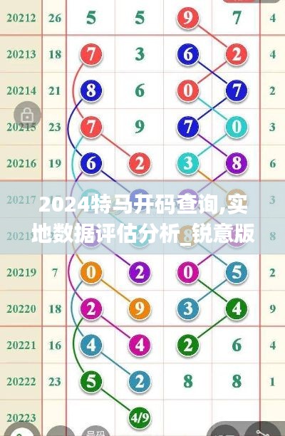 2024特马开码查询,实地数据评估分析_锐意版IHD7.28