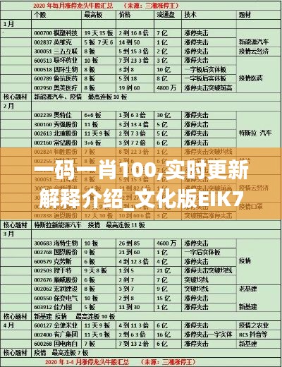 一码一肖100,实时更新解释介绍_文化版EIK7.53