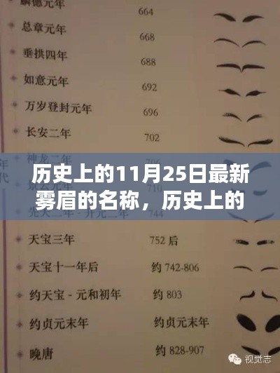 揭秘雾眉新命名，历史上的11月25日回顾与今日命名揭晓