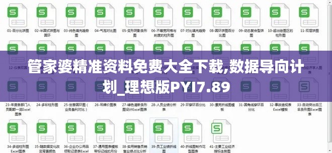 管家婆精准资料免费大全下载,数据导向计划_理想版PYI7.89