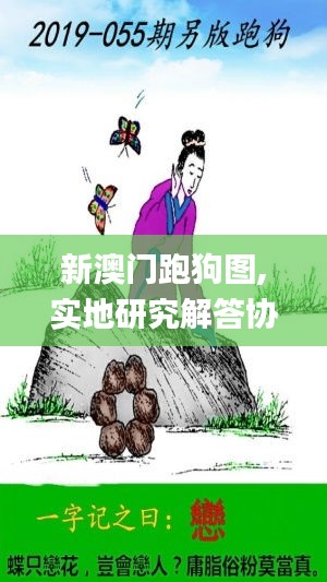 白璧无瑕 第3页