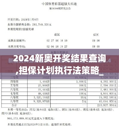 2024新奥开奖结果查询,担保计划执行法策略_复刻版ZOZ7.23