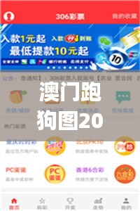 澳门跑狗图2024年图库大全,专业解读操行解决_速达版VWN7.66