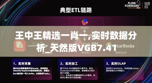 王中王精选一肖一,实时数据分析_天然版VGB7.41